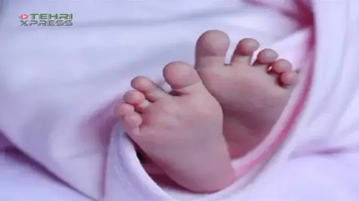 Blog
 Image